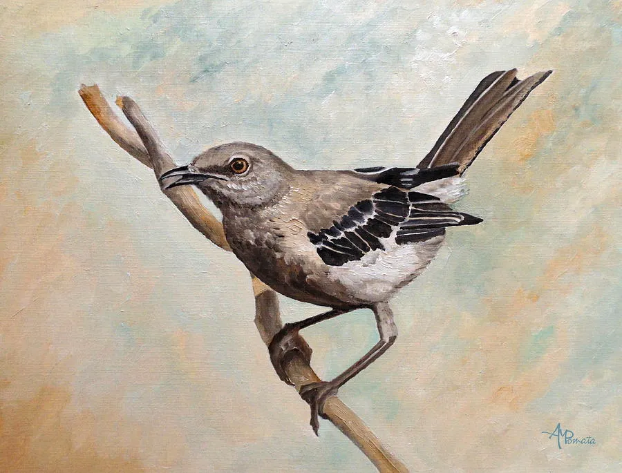 Sharp-Eyed Mockingbird, original bird oil painting by Angeles M Pomata