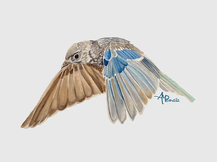 Soaring Quicksilver I