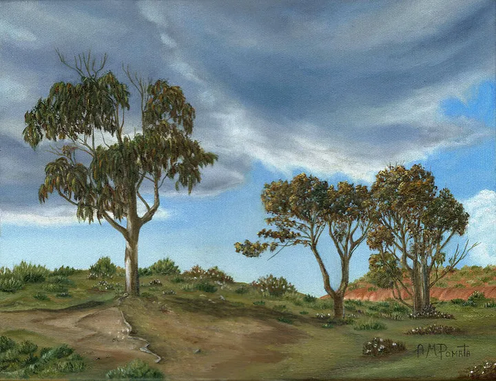 Stormy Eucalyptus