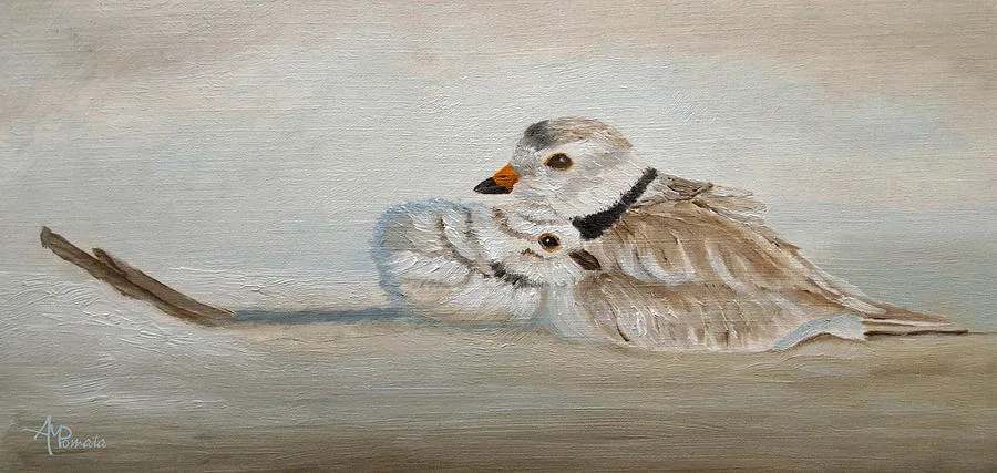 Sweet Child Of Mine, original bird oil painting by Angeles M Pomata