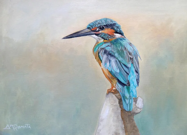 Vigilant Kingfisher