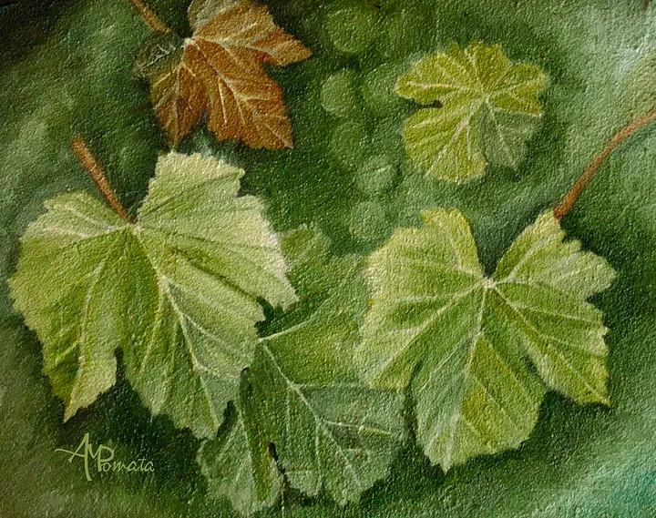 Vine leaves