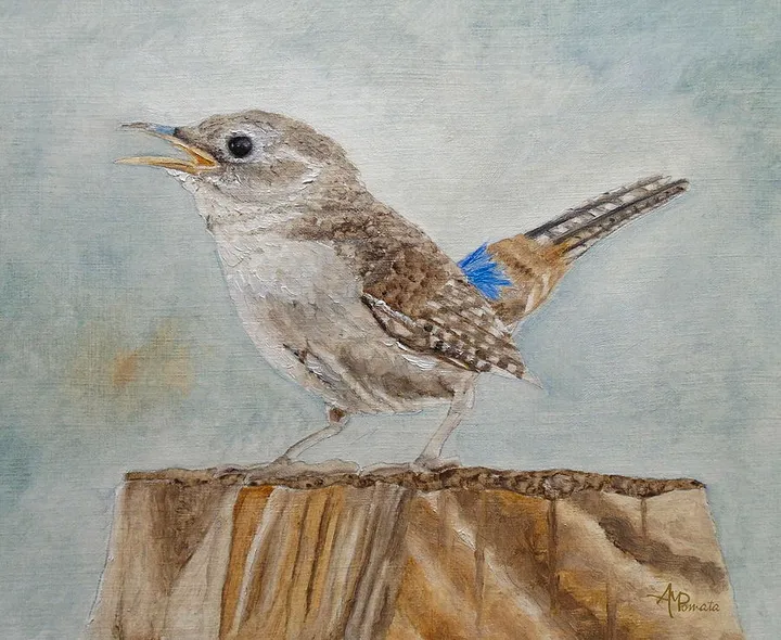 Warbling Solo