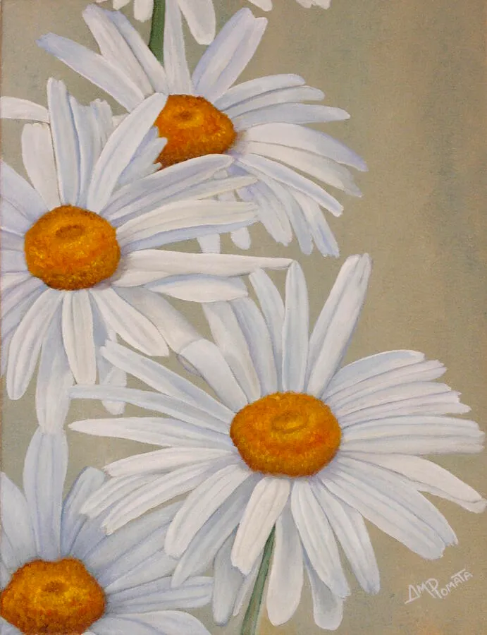 White Daisies, original floral oil painting by Angeles M Pomata