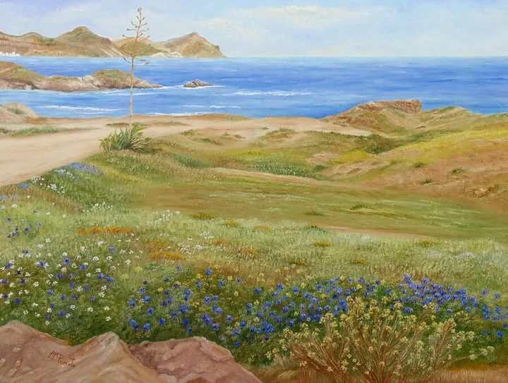 Wild Flowers