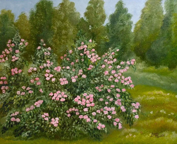 Wild Roses