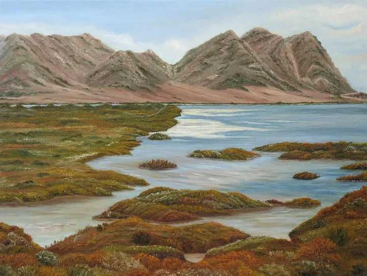 Salt Marsh