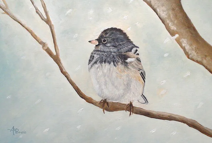 Snowbird In The Blizzard