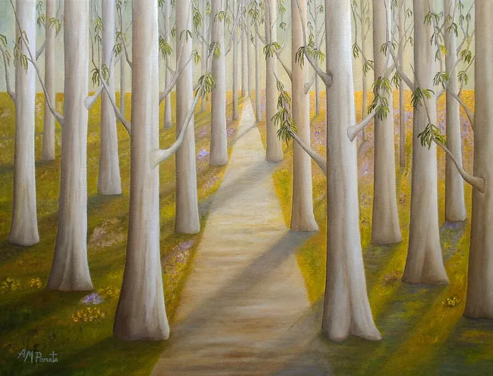 The Smooth Summer Light