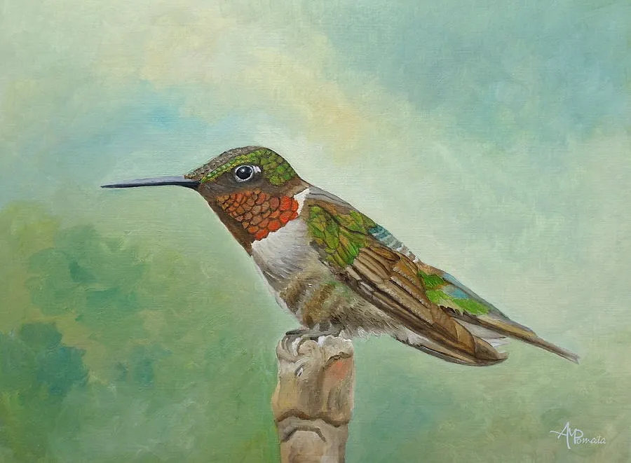 True Colors, original bird oil painting by Angeles M Pomata