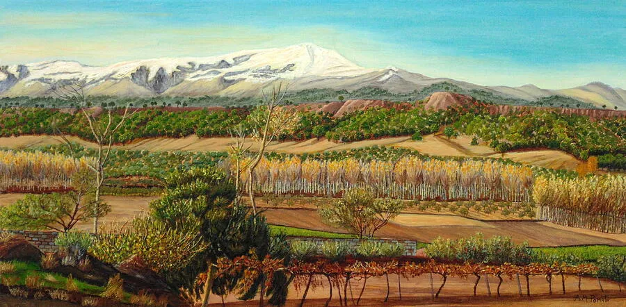 Vineyard Valley In The Sierra Nevada Surroundings, original landscape oil painting by Angeles M Pomata