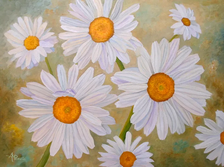 White On Green Daisies