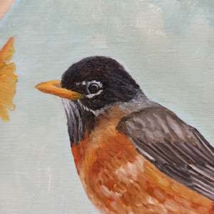 American Robin On A Spring Afternoon: Detail 1