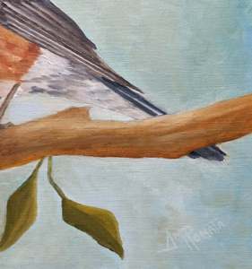 American Robin On A Spring Afternoon: Signature