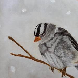 Blizzard Cutie: Detail 1