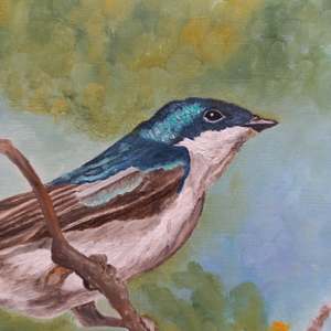 Blue Wonder: Detail 1