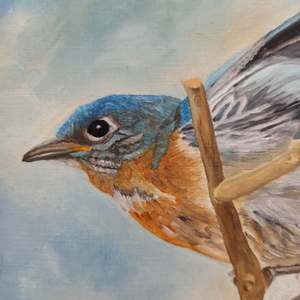 Bluebird, Blue Morning: Detail 1