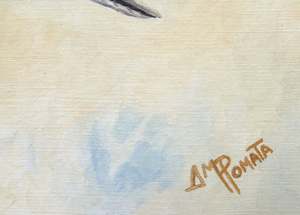 Carolina Wren: Signature