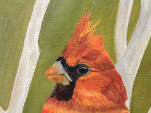 Cutest Ambushed Cardinal: Detail 1