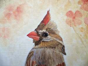 Cutie Who?: Detail 1