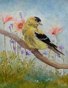 Early Spring American Goldfinch: Detail 2