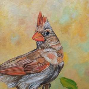 Female Cardinal Portrait: Detail 1