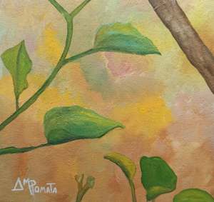 Female Cardinal Portrait: Signature