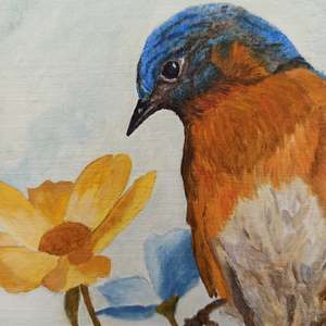 Flower Peeping Eastern Bluebird: Detail 1