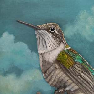 Moonlighting Hummingbird: Detail 1