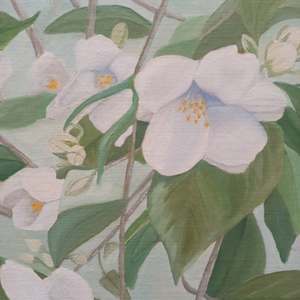 Orange Blossoms: Detail 1