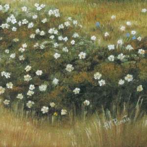 Path Of Flowers: Signature