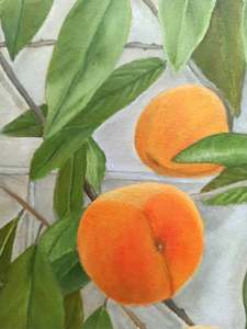 Peaches: Detail 1
