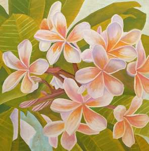 Plumeria: Detail 1