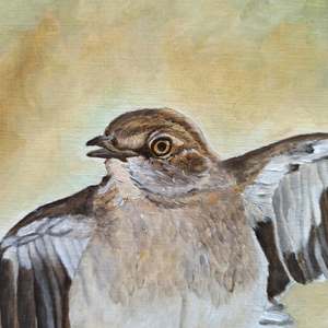 Showing Off: Detail 1