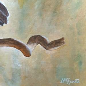 Showing Off: Detail 2