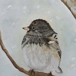 Snowbird In The Blizzard: Detail 1
