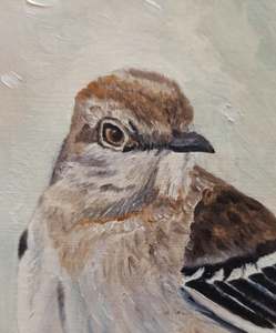 Snowfall Mockingbird: Detail 1