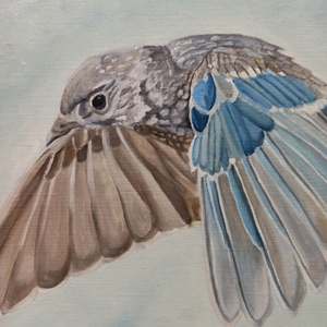Soaring Quicksilver: Detail 1
