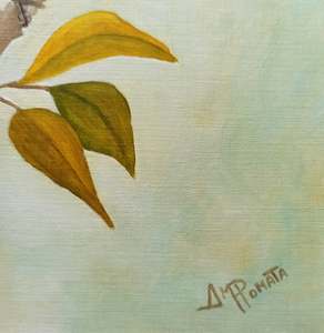 Stillness Of Heart: Signature