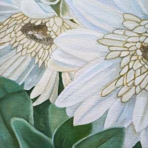 White Gerbera: Detail 1