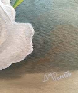 White Roses: Signature